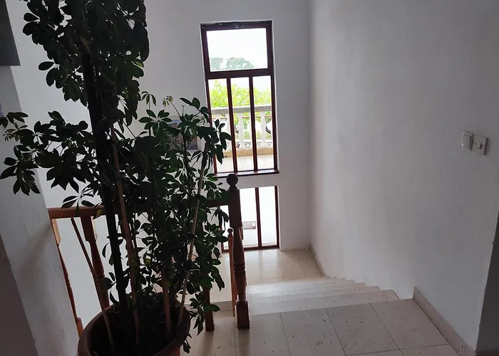 Apartment Buy Seaview Retro & Giovanni *
