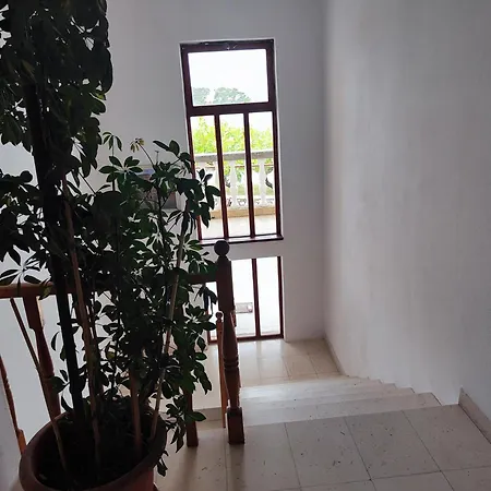 Apartmán Buy Seaview Retro & Giovanni *