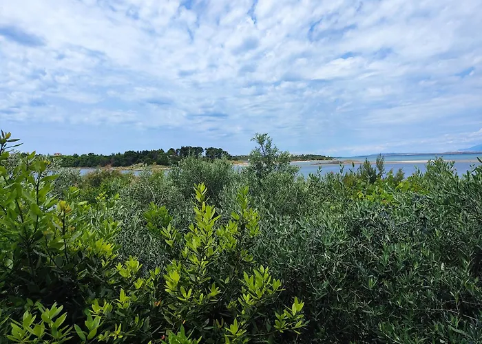 Buy Seaview Retro & Giovanni Apartamento Nin